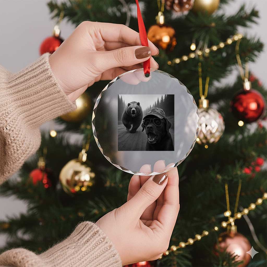 Funny Labrador Selfie With Bear Crystal Glass Ornament Dog Lover Gift TS12 Print Your Wear