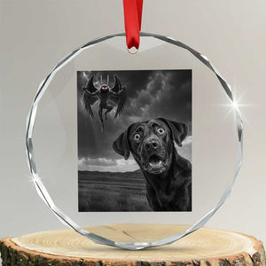 Funny Labrador Selfie With Mothman Crystal Glass Ornament Cryptid Gift TS12 Transparent Glass 3'' Circle Print Your Wear