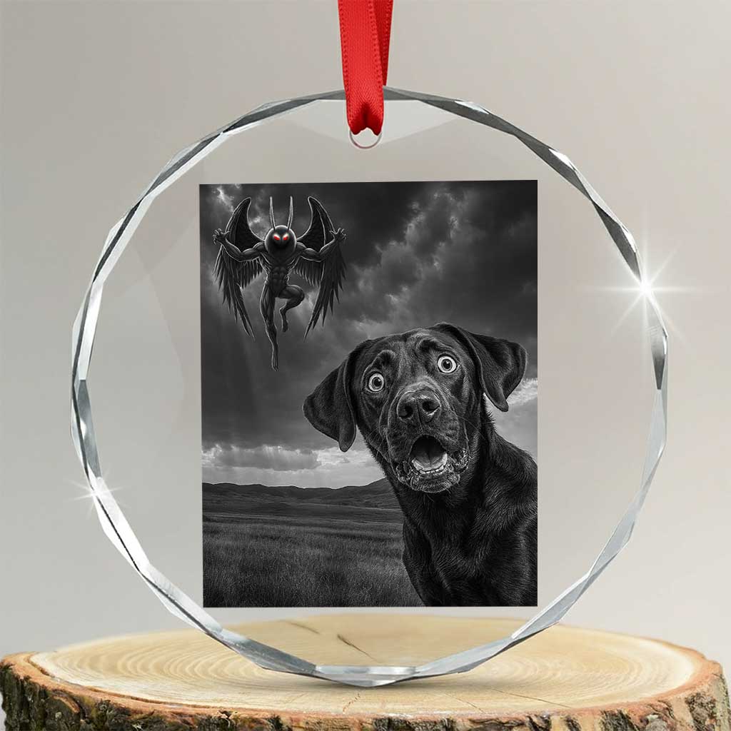 Funny Labrador Selfie With Mothman Crystal Glass Ornament Cryptid Gift TS12 Transparent Glass 3'' Circle Print Your Wear