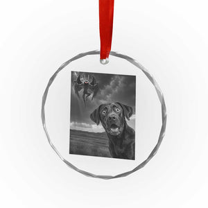 Funny Labrador Selfie With Mothman Crystal Glass Ornament Cryptid Gift TS12 Print Your Wear