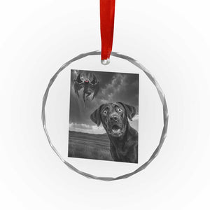 Funny Labrador Selfie With Mothman Crystal Glass Ornament Cryptid Gift TS12 Print Your Wear