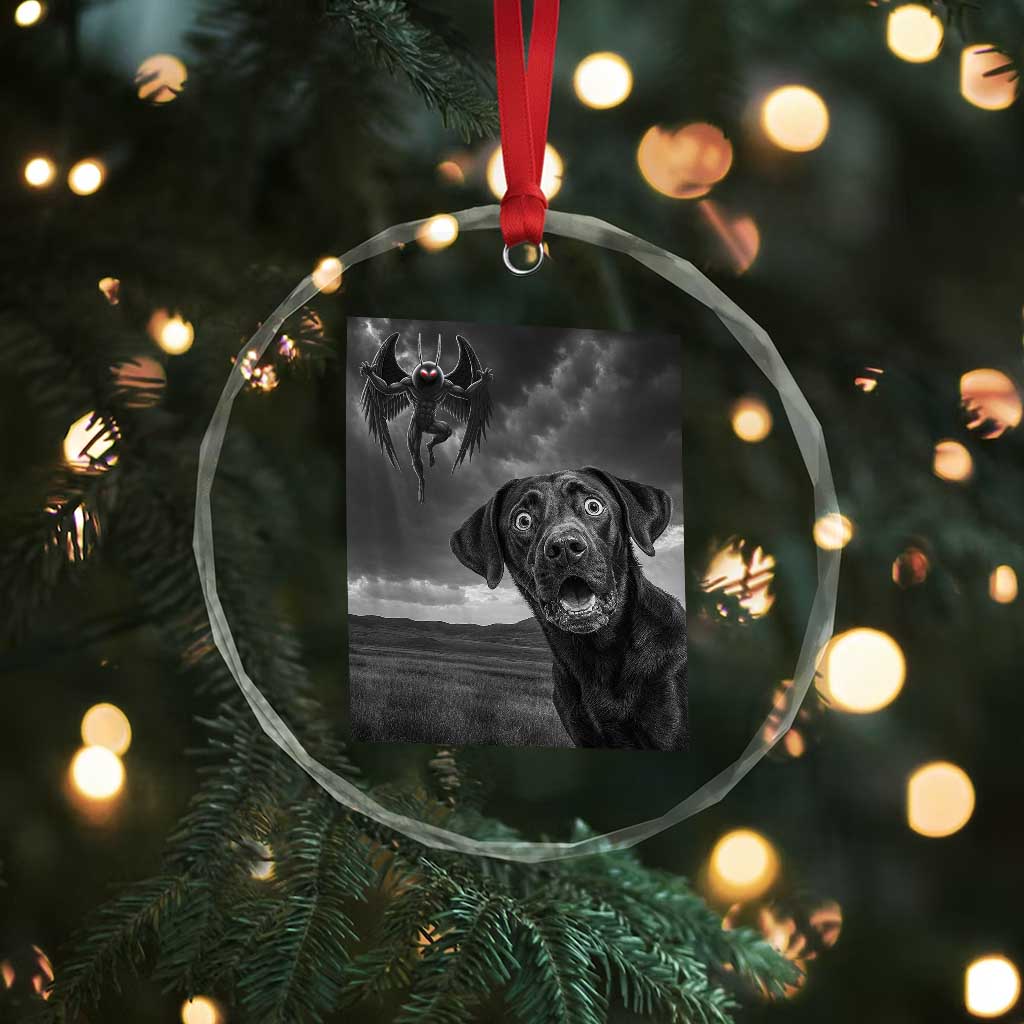Funny Labrador Selfie With Mothman Crystal Glass Ornament Cryptid Gift TS12 Print Your Wear