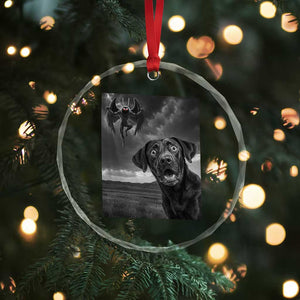 Funny Labrador Selfie With Mothman Crystal Glass Ornament Cryptid Gift TS12 Print Your Wear