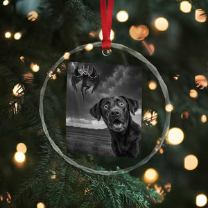 Funny Labrador Selfie With Mothman Crystal Glass Ornament Cryptid Gift TS12 Print Your Wear