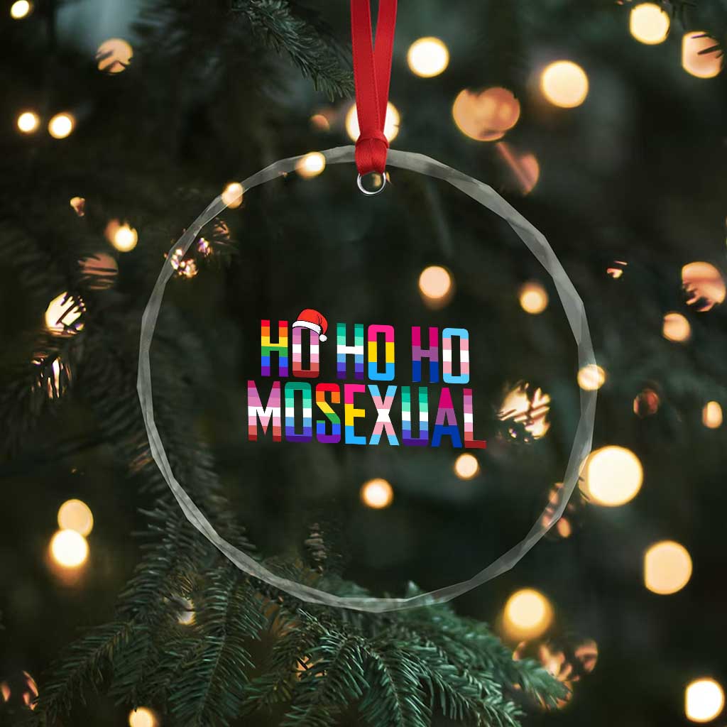 Funny LGBT Xmas Crystal Glass Ornament Ho Ho Ho Mosexual LGBT Flag TS11 Print Your Wear