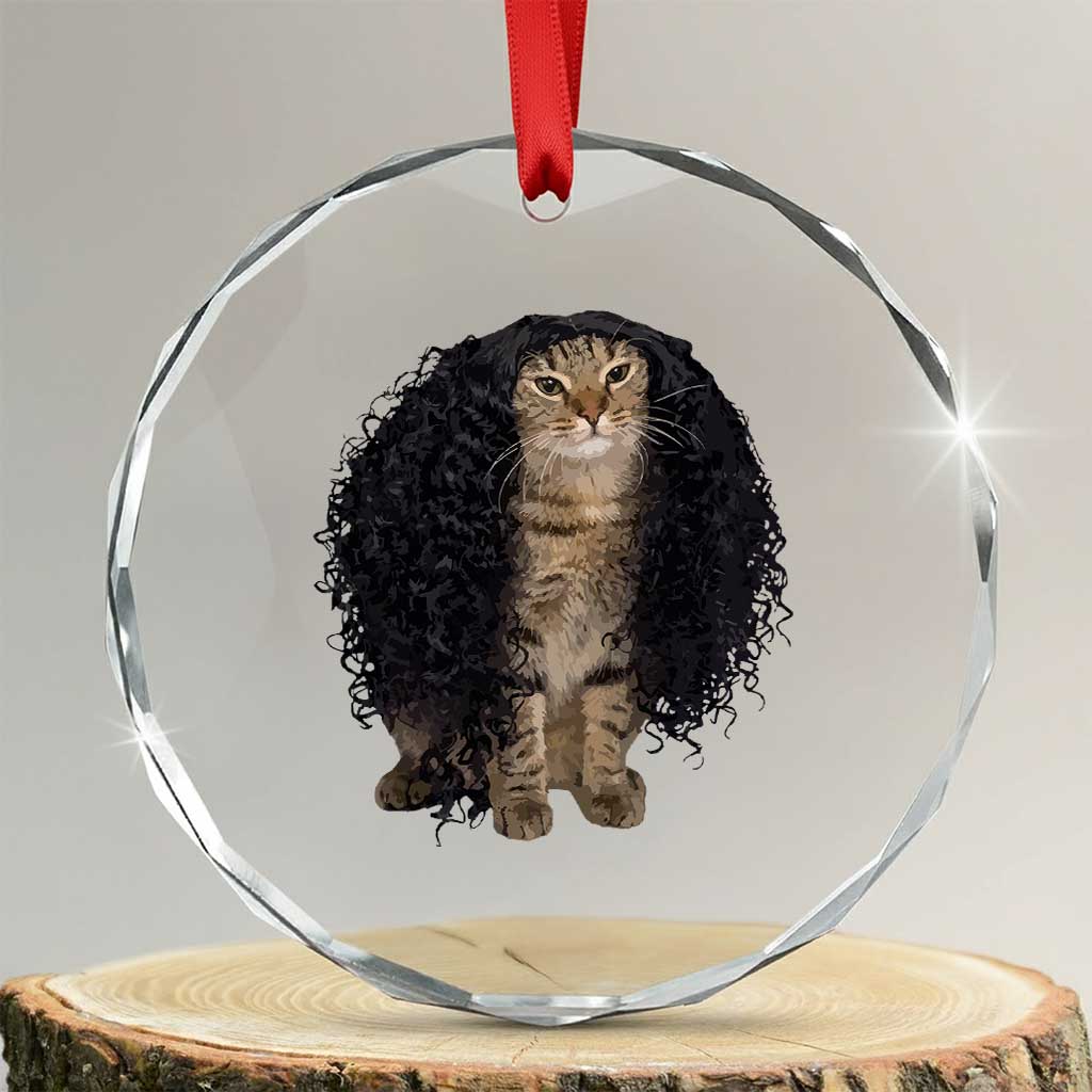 Funny Long Curly Hair Wig Cat Soccer Fans Crystal Glass Ornament Football Meme Sports Humor TS02 Transparent Glass 3'' Circle Print Your Wear