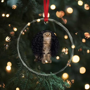 Funny Long Curly Hair Wig Cat Soccer Fans Crystal Glass Ornament Football Meme Sports Humor