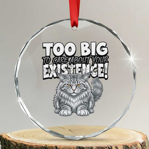 Funny Maine Coon Cat Crystal Glass Ornament Too Big To Care About Your Existence TS12 Transparent Glass 3'' Circle Print Your Wear