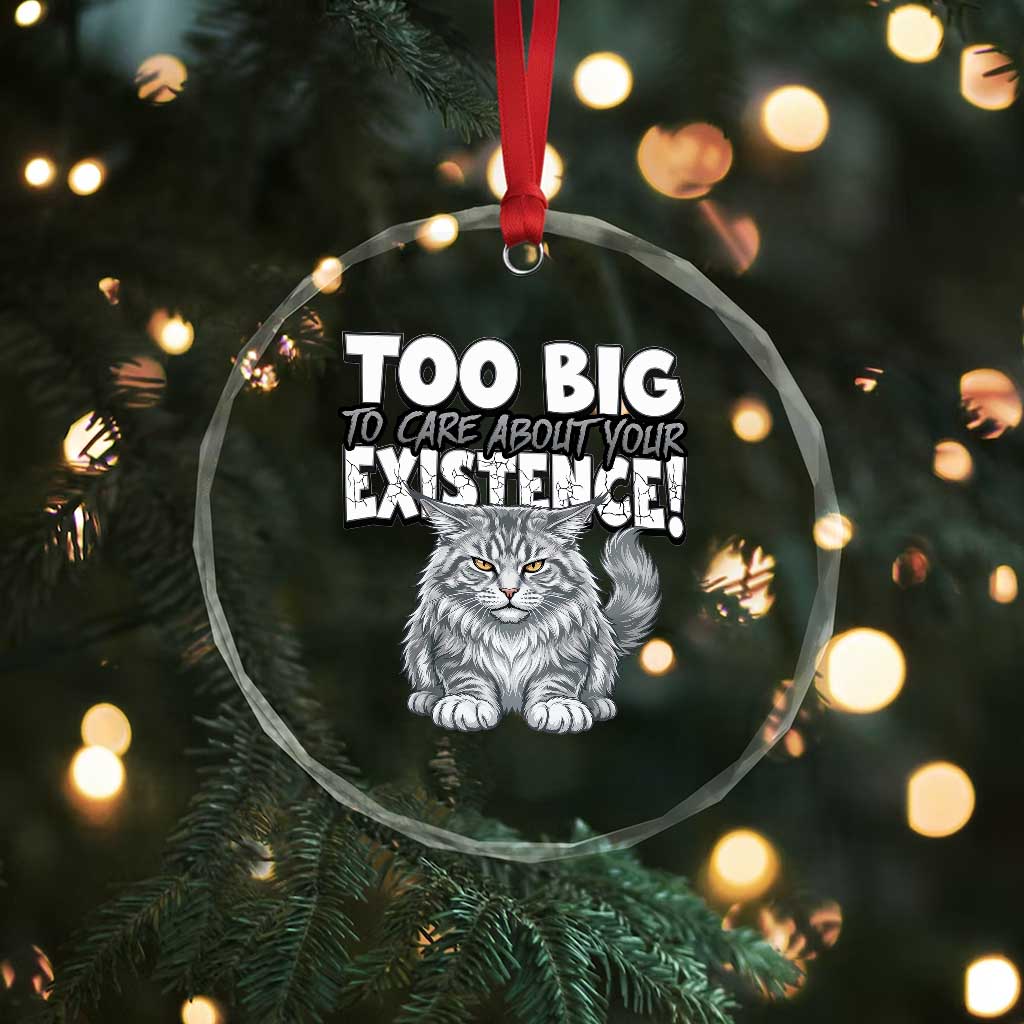 Funny Maine Coon Cat Crystal Glass Ornament Too Big To Care About Your Existence TS12 Print Your Wear