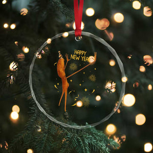 Funny Marcus The Worm New Year Crystal Glass Ornament Happy New Year NYE Party Firework TS11 Print Your Wear