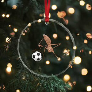 Funny Marcus The Worm Soccer Lover Crystal Glass Ornament I Do Not Like This Ball TS12 Print Your Wear