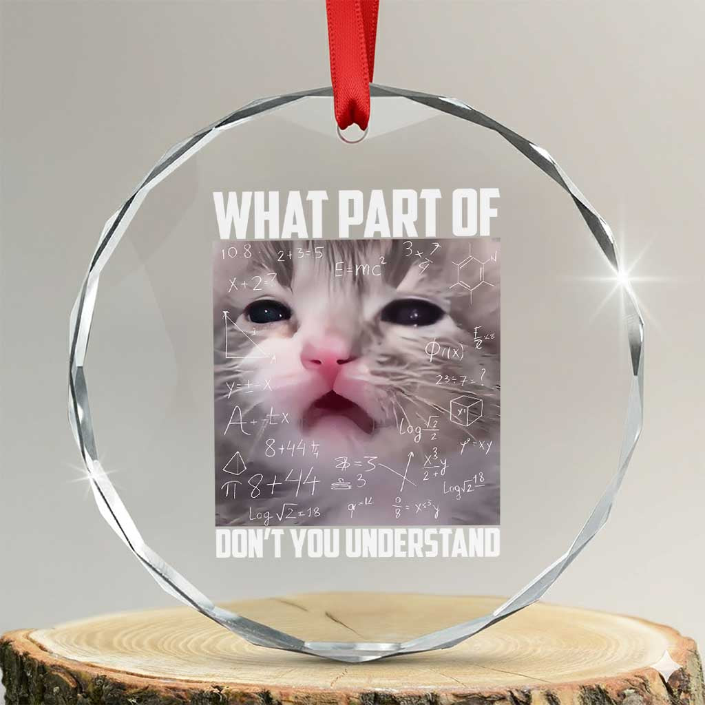 Funny Math Cat Lover Crystal Glass Ornament What Part Of Do Not You Understand TS14 Transparent Glass 3'' Circle Print Your Wear