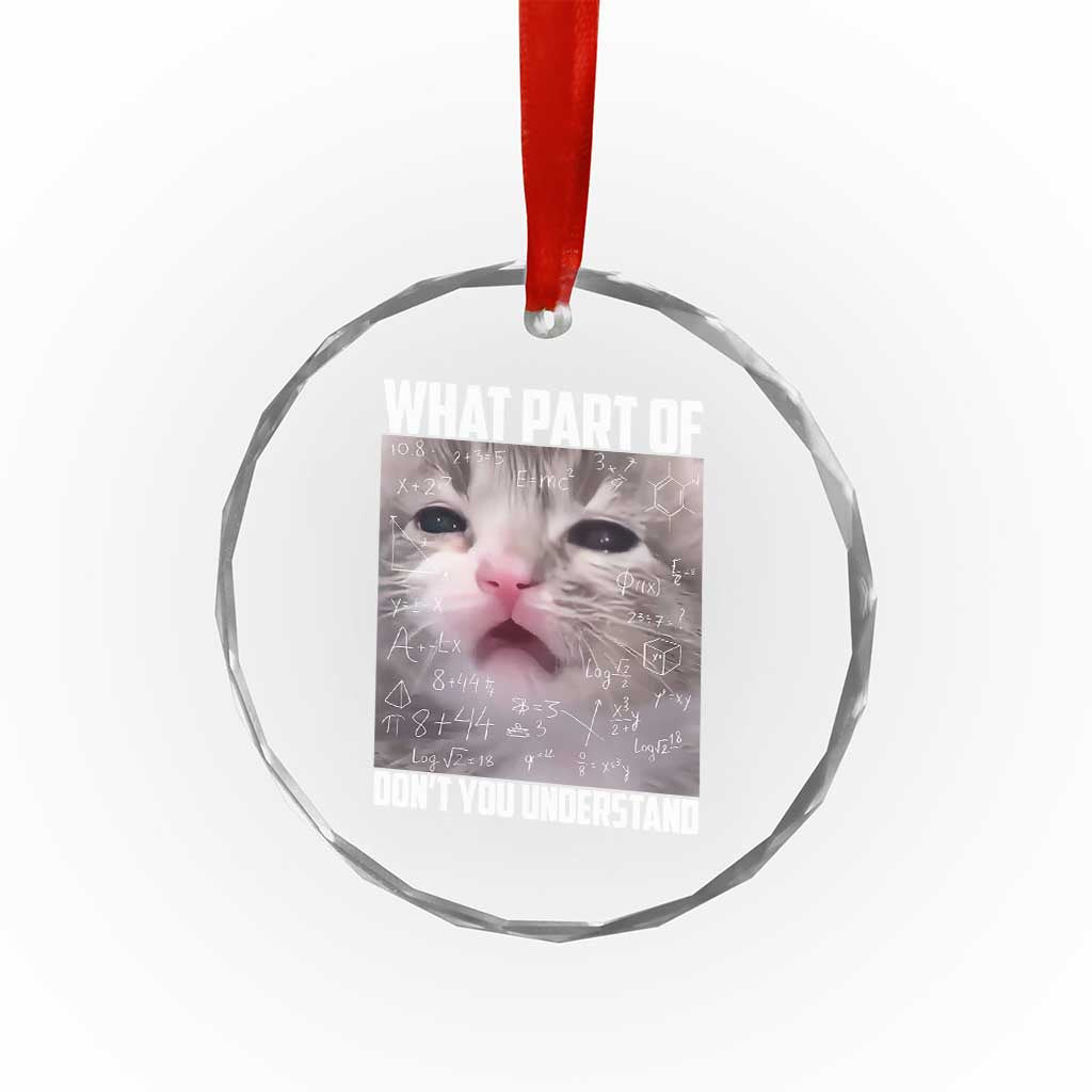Funny Math Cat Lover Crystal Glass Ornament What Part Of Do Not You Understand TS14 Print Your Wear