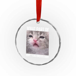 Funny Math Cat Lover Crystal Glass Ornament What Part Of Do Not You Understand TS14 Print Your Wear