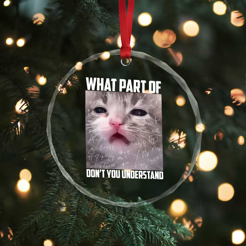 Funny Math Cat Lover Crystal Glass Ornament What Part Of Do Not You Understand TS14 Print Your Wear
