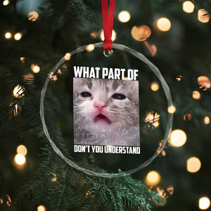 Funny Math Cat Lover Crystal Glass Ornament What Part Of Do Not You Understand TS14 Print Your Wear