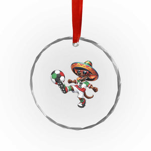 Funny Mexican Xolo Dog Playing Soccer Crystal Glass Ornament Football Fan Gift TS12 Print Your Wear