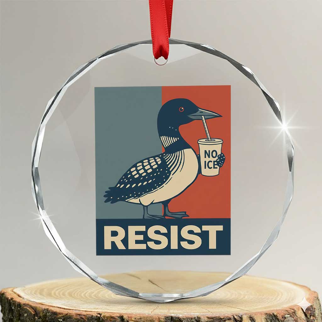 Funny Minnesota Common Loon Crystal Glass Ornament No Ice Please TS12 Transparent Glass 3'' Circle Print Your Wear