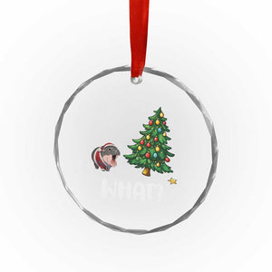 Funny Moo Deng Christmas Crystal Glass Ornament What Santa Cute Hippo Zoo Meme Baby Pygmy Xmas Tree TS11 Print Your Wear