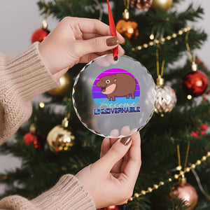 Funny Moo Deng Crystal Glass Ornament Baby Hippo Become Ungovernable TS10 Print Your Wear