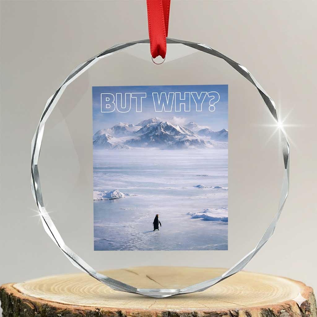 Funny Nihilist Penguin But Why Meme Crystal Glass Ornament Existential Arctic Scene Icy Wilderness Quiet Thinkers TS02 Transparent Glass 3'' Circle Print Your Wear