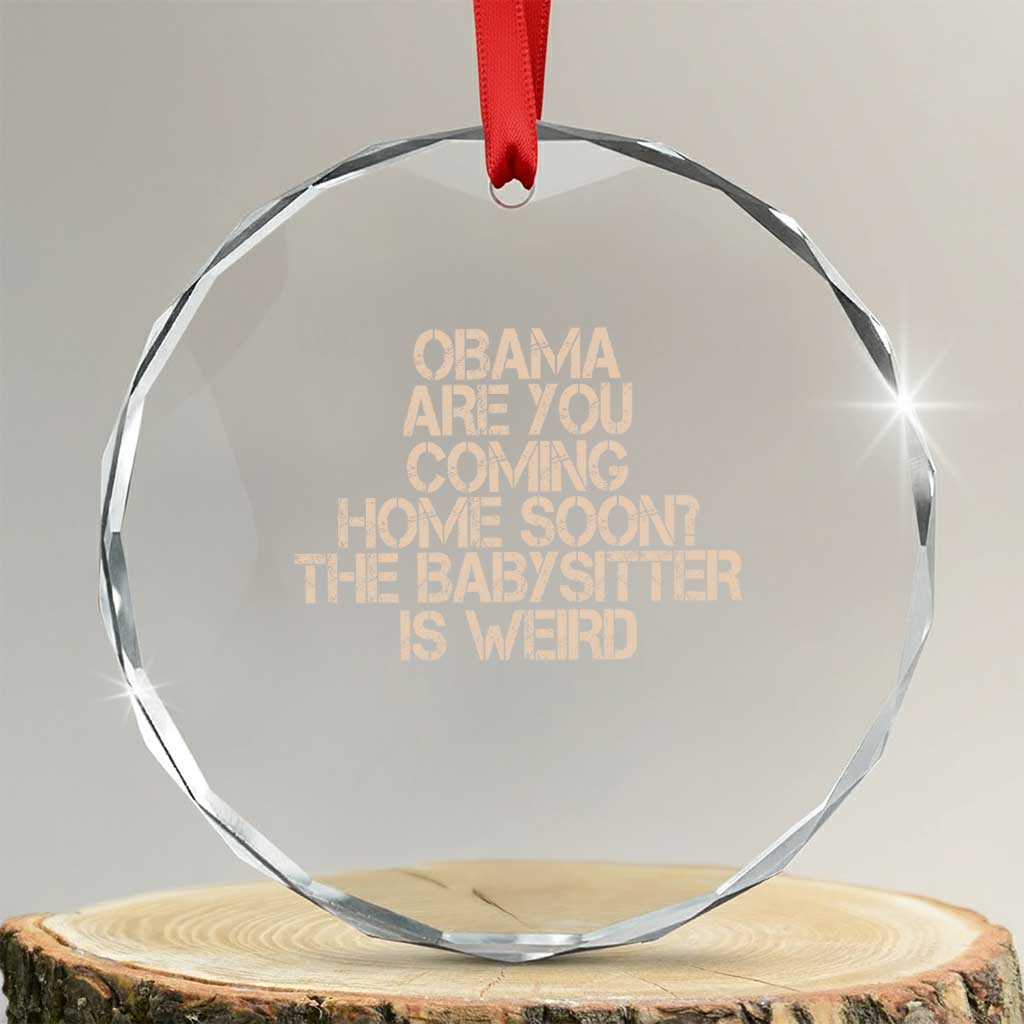 Funny Obama Joke Crystal Glass Ornament The Babysitter Is Weird Political Humor TS12 Transparent Glass 3'' Circle Print Your Wear