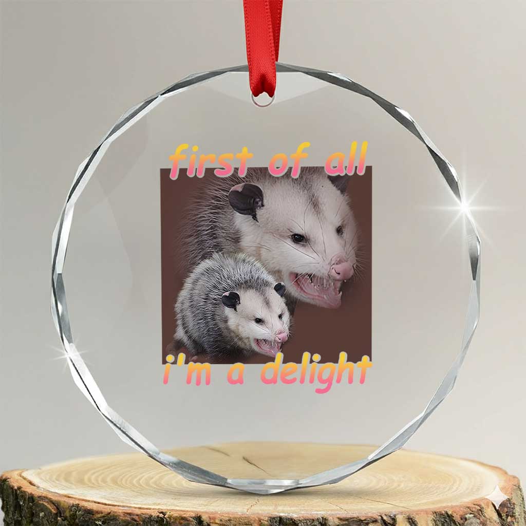 Funny Opossum Crystal Glass Ornament First Of All I'm A Delight TS02 Transparent Glass 3'' Circle Print Your Wear