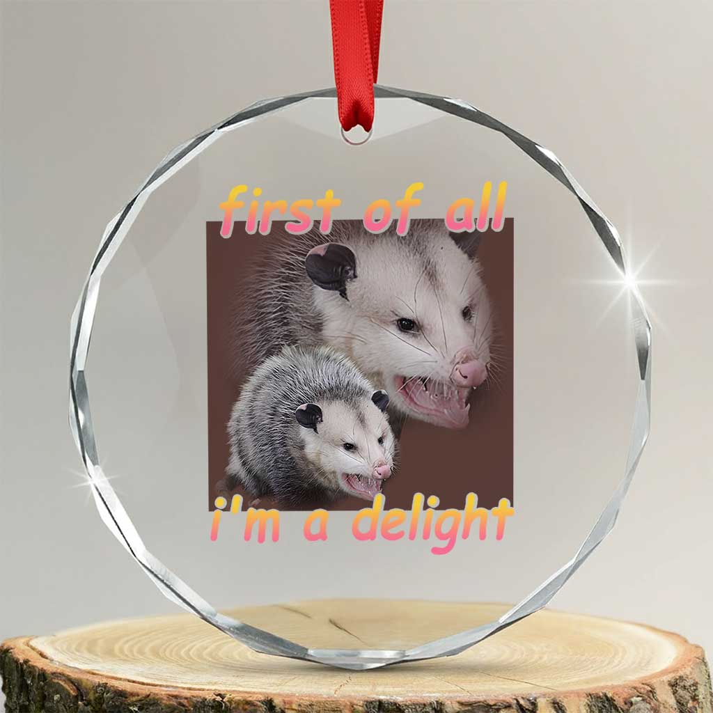 Funny Opossum Crystal Glass Ornament First Of All I'm A Delight TS02 Transparent Glass 3'' Circle Print Your Wear