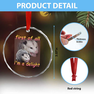 Funny Opossum Crystal Glass Ornament First Of All I'm A Delight TS02 Print Your Wear