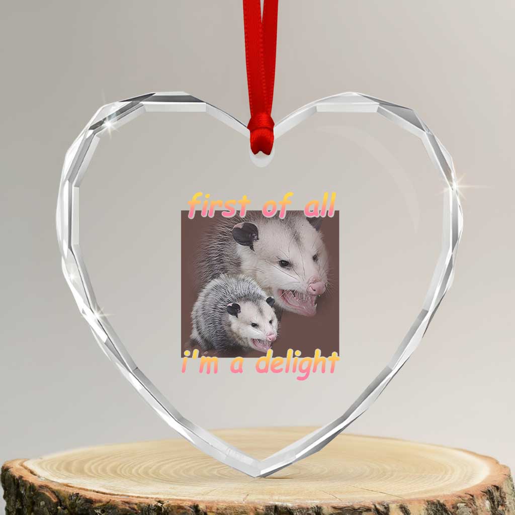 Funny Opossum Heart Crystal Glass Ornament First Of All I'm A Delight TS02 Transparent Glass 3'' Heart Print Your Wear