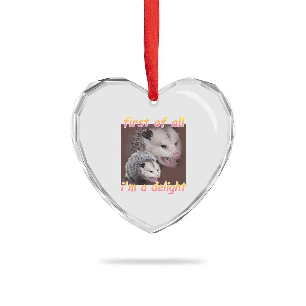 Funny Opossum Heart Crystal Glass Ornament First Of All I'm A Delight TS02 Print Your Wear