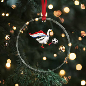 Funny Paraguay Soccer Crystal Glass Ornament Goose Wearing Paraguayan Flag Patriotic Football Fan Graphic