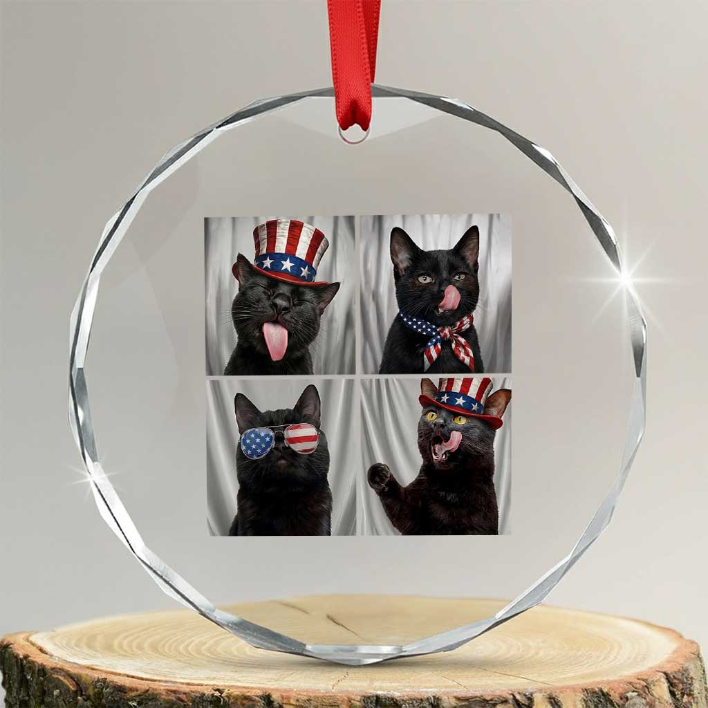 Funny Patriotic Black British Shorthair Cat Selfie Crystal Glass Ornament TS12 Transparent Glass 3'' Circle Print Your Wear