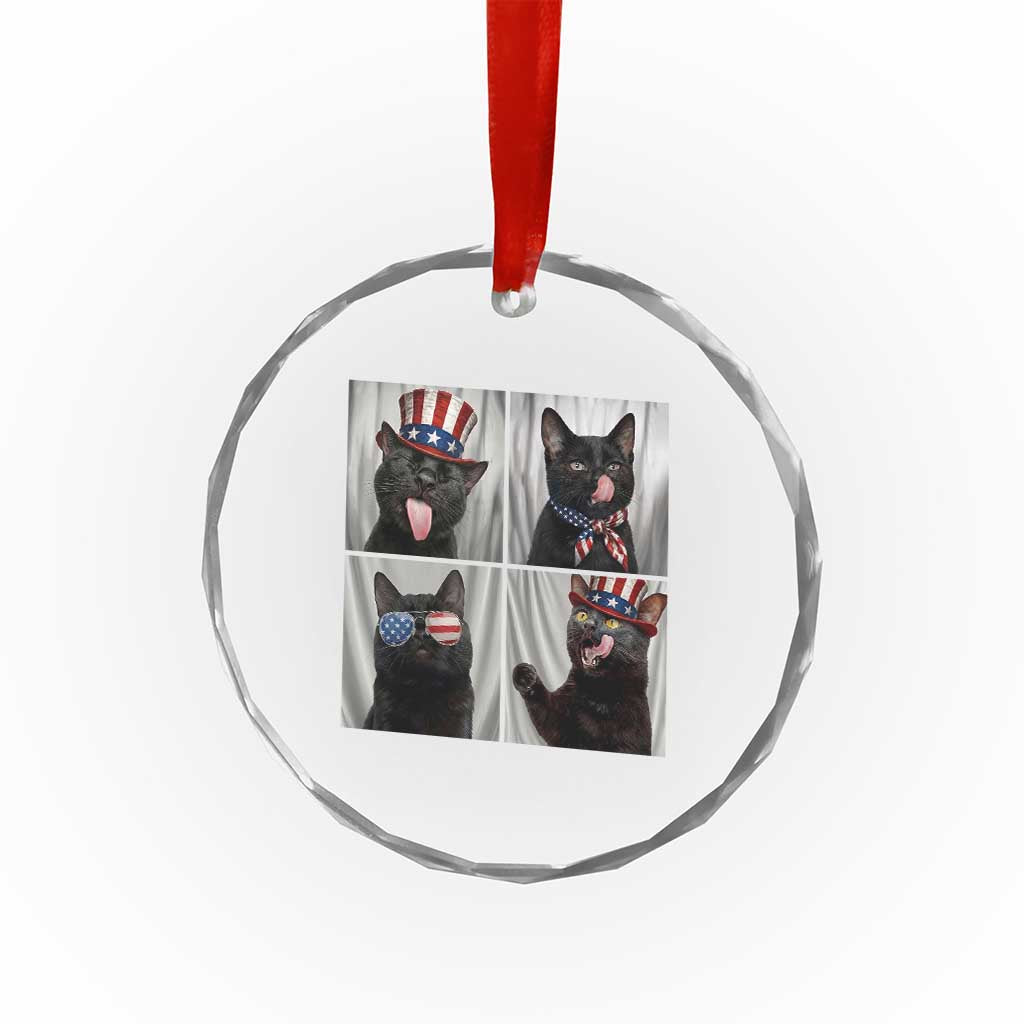 Funny Patriotic Black British Shorthair Cat Selfie Crystal Glass Ornament TS12 Print Your Wear