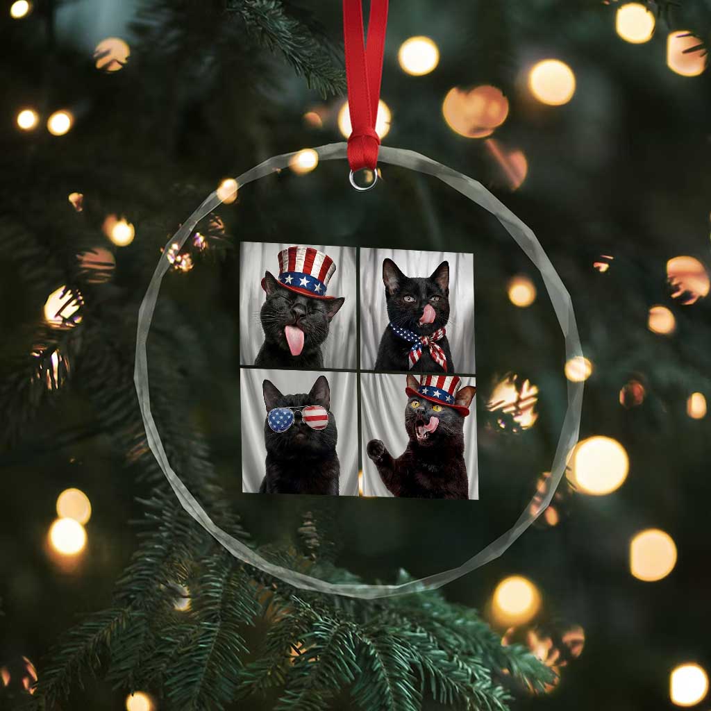Funny Patriotic Black British Shorthair Cat Selfie Crystal Glass Ornament TS12 Print Your Wear