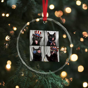 Funny Patriotic Black British Shorthair Cat Selfie Crystal Glass Ornament TS12 Print Your Wear