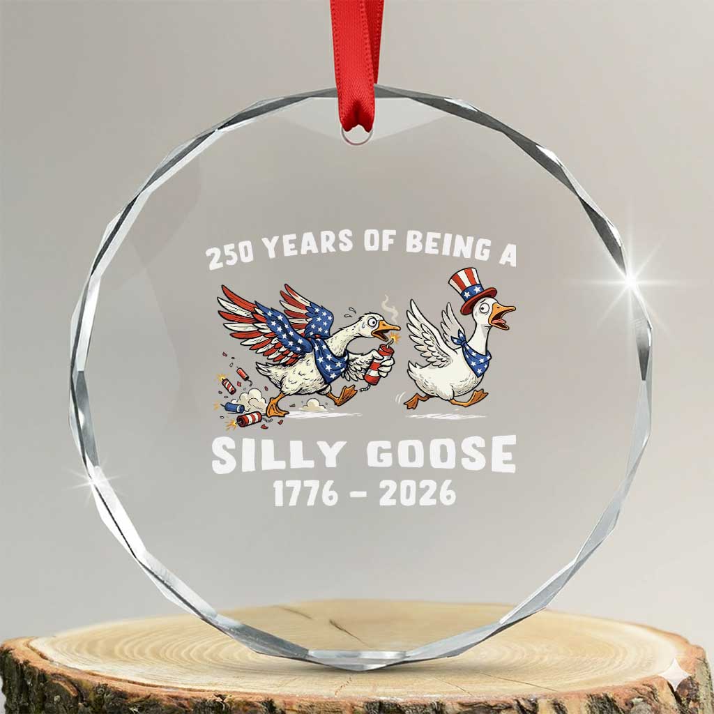 Funny Patriotic Goose Crystal Glass Ornament 250 Years Of Being A Silly Goose TS12 Transparent Glass 3'' Circle Print Your Wear