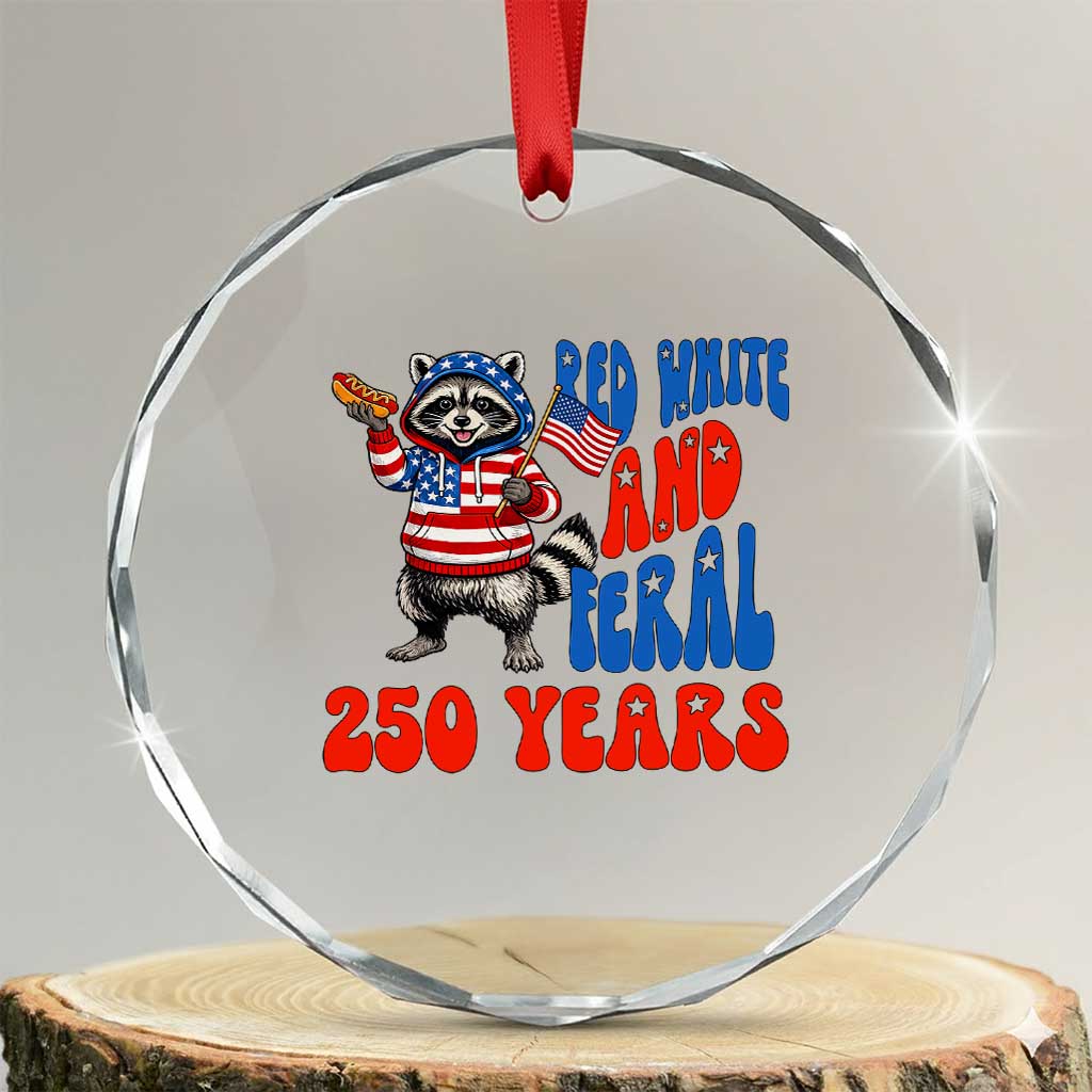 Funny Patriotic Raccoon Crystal Glass Ornament Red White And Feral 250 Years TS12 Transparent Glass 3'' Circle Print Your Wear