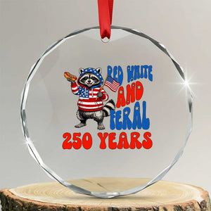 Funny Patriotic Raccoon Crystal Glass Ornament Red White And Feral 250 Years TS12 Transparent Glass 3'' Circle Print Your Wear