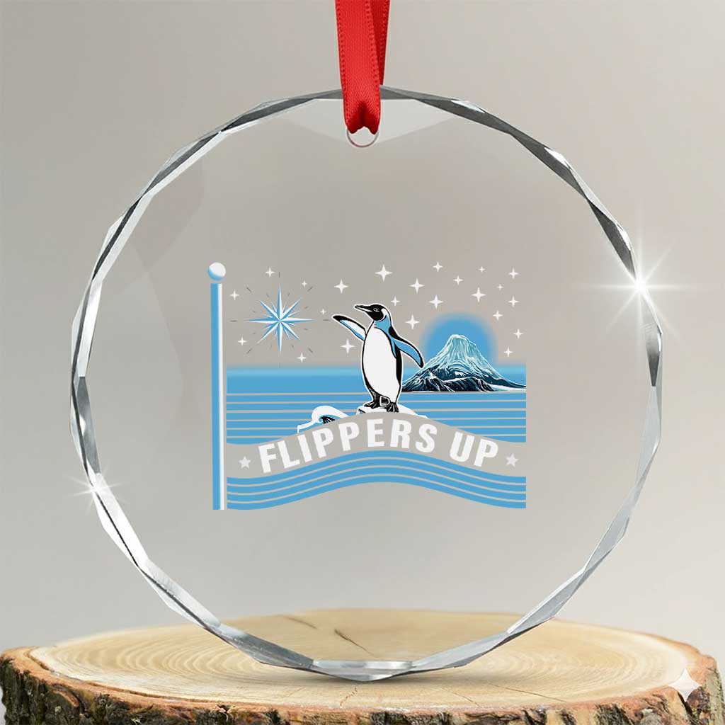 Funny Penguin Resist Crystal Glass Ornament Heard Island Flippers Up I Stand With Penguins TS02 Transparent Glass 3'' Circle Print Your Wear