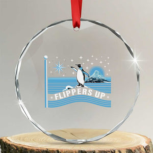 Funny Penguin Resist Crystal Glass Ornament Heard Island Flippers Up I Stand With Penguins TS02 Transparent Glass 3'' Circle Print Your Wear