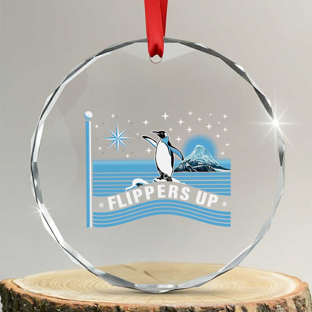 Funny Penguin Resist Crystal Glass Ornament Heard Island Flippers Up I Stand With Penguins TS02 Transparent Glass 3'' Circle Print Your Wear