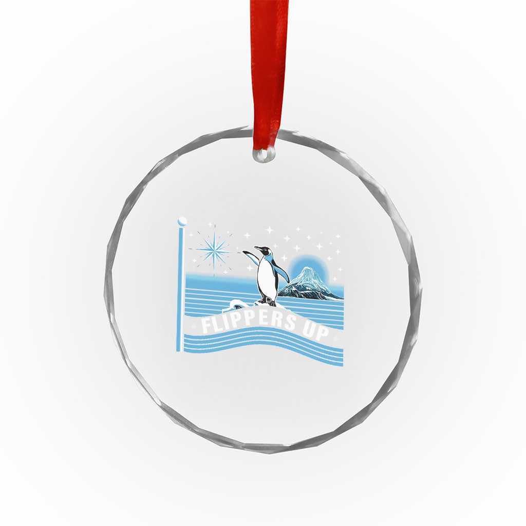 Funny Penguin Resist Crystal Glass Ornament Heard Island Flippers Up I Stand With Penguins TS02 Print Your Wear