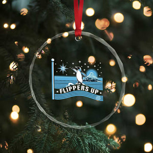 Funny Penguin Resist Crystal Glass Ornament Heard Island Flippers Up I Stand With Penguins TS02 Print Your Wear