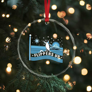 Funny Penguin Resist Crystal Glass Ornament Heard Island Flippers Up I Stand With Penguins - Print Your Wear