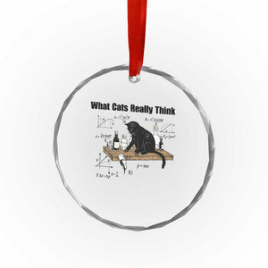 Funny Physics Cat Meme Crystal Glass Ornament What Cats Really Think TS12 Print Your Wear