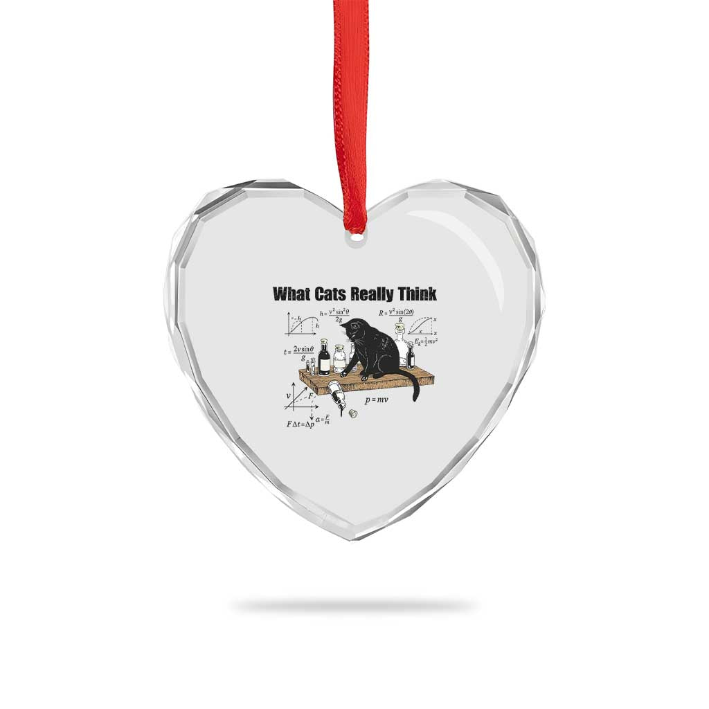 Funny Physics Cat Meme Heart Crystal Glass Ornament What Cats Really Think TS12 Print Your Wear