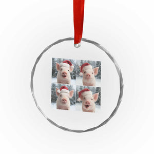 Funny Pig With Santa Hat Photobooth Crystal Glass Ornament Christmas Gift TS12 Print Your Wear