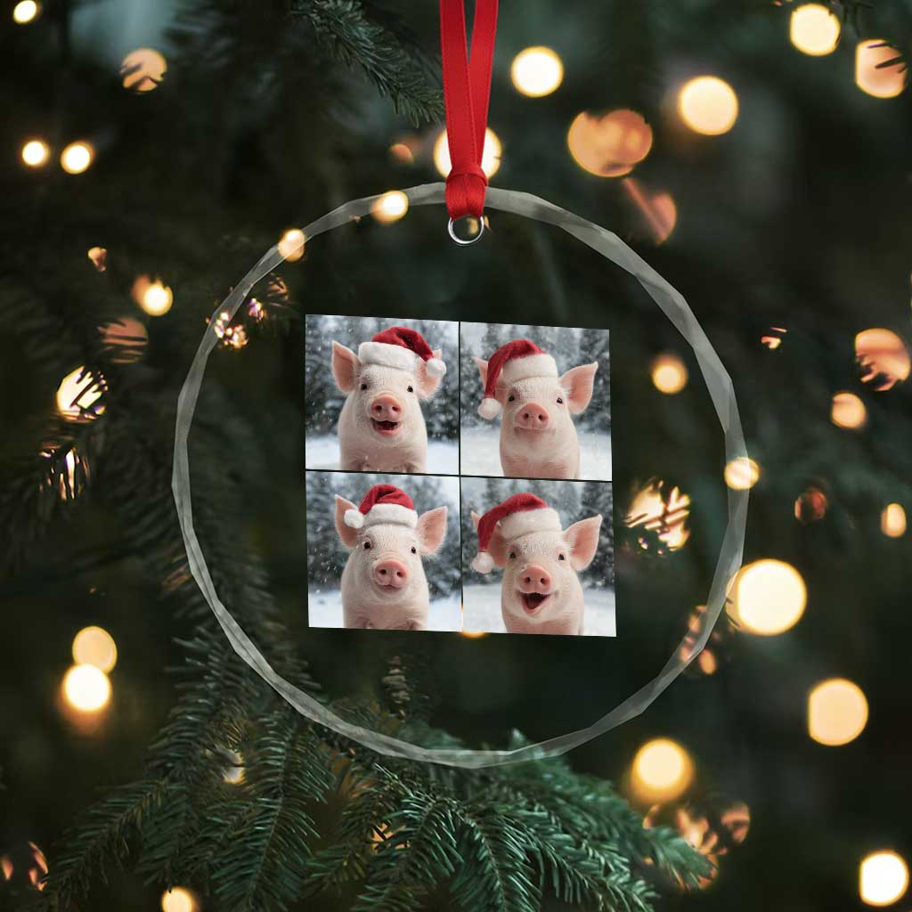 Funny Pig With Santa Hat Photobooth Crystal Glass Ornament Christmas Gift TS12 Print Your Wear