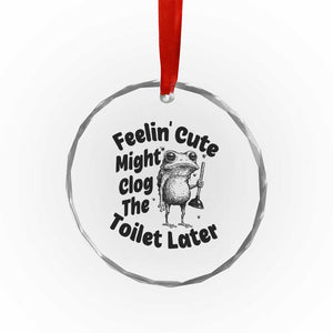 Funny Plumber Frog Gift Crystal Glass Ornament Feeling Cute Might Clog The Toilet Later TS12 Print Your Wear